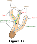 Figure 17 link.