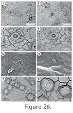Figure 26.