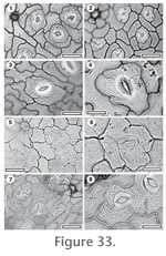 Figure 33.