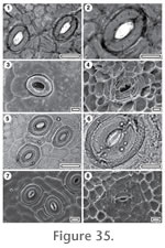 Figure 35.